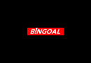 Bingoal Casino notre avis