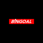Bingoal Casino notre avis
