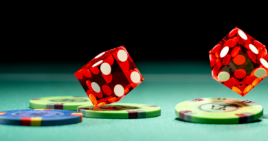 Tout savoir sur les dices games en Belgique